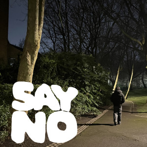Listen to SAY NO song with lyrics from ROZ