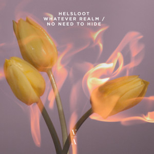 Various Artists的專輯Whatever Realm / No Need To Hide