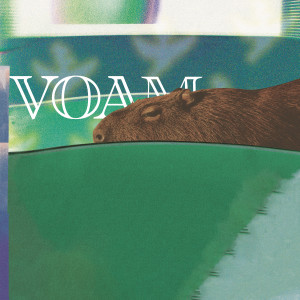 ดาวน์โหลดและฟังเพลง Escándaloo พร้อมเนื้อเพลงจาก Verraco