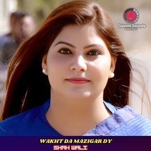 Listen to Wakht Da Mazigar Dy song with lyrics from Shah Wali