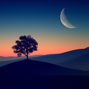 收聽Saleum Group的Syukur歌詞歌曲