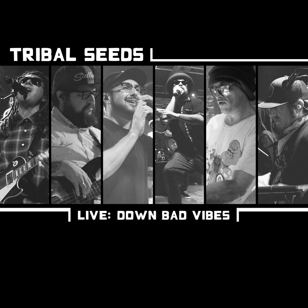 Down Bad Vibes - Live (Live)