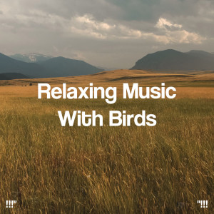 Album "!!! Relaxing Music With Birds !!!" oleh Relaxing Music Therapy