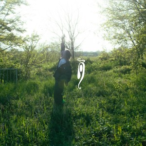 Listen to A day of summer song with lyrics from safmusic