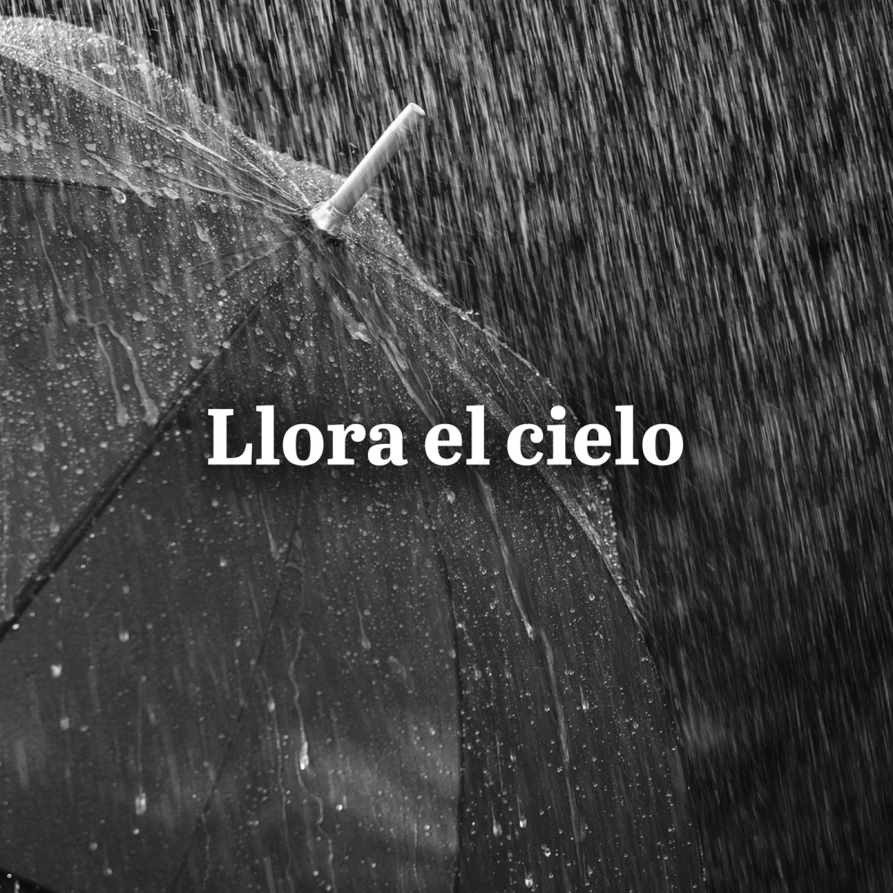 Used To Love You