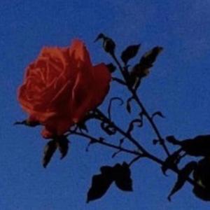 收聽107Tyler的All My Demons (feat. Emo Fruits & Cxrter) (Explicit)歌詞歌曲