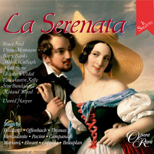 Various Artists的專輯Il Salotto Vol. 11: La Serenata
