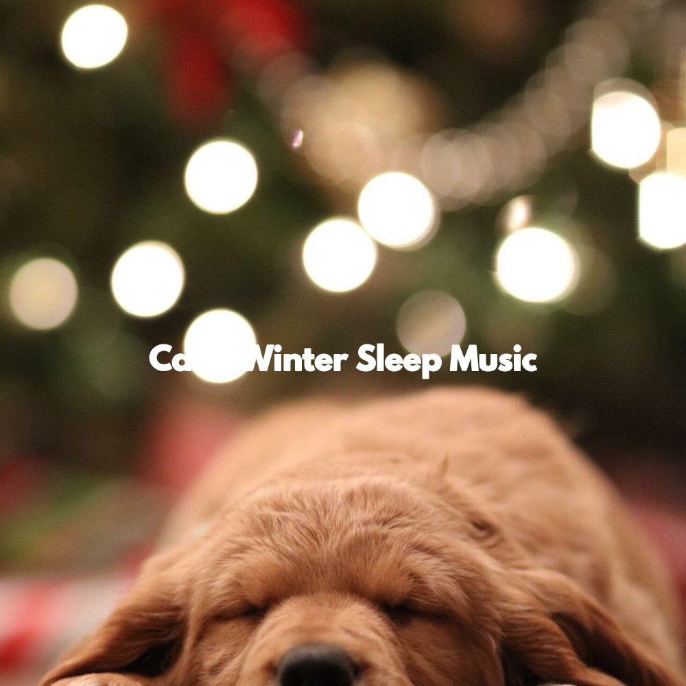 Soulful Ambiance for Calm Flow