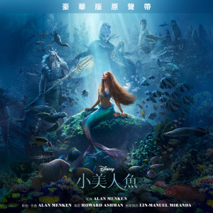 ดาวน์โหลดและฟังเพลง Part of Your World (From "The Little Mermaid"/Soundtrack Version) พร้อมเนื้อเพลงจาก 阎奕格