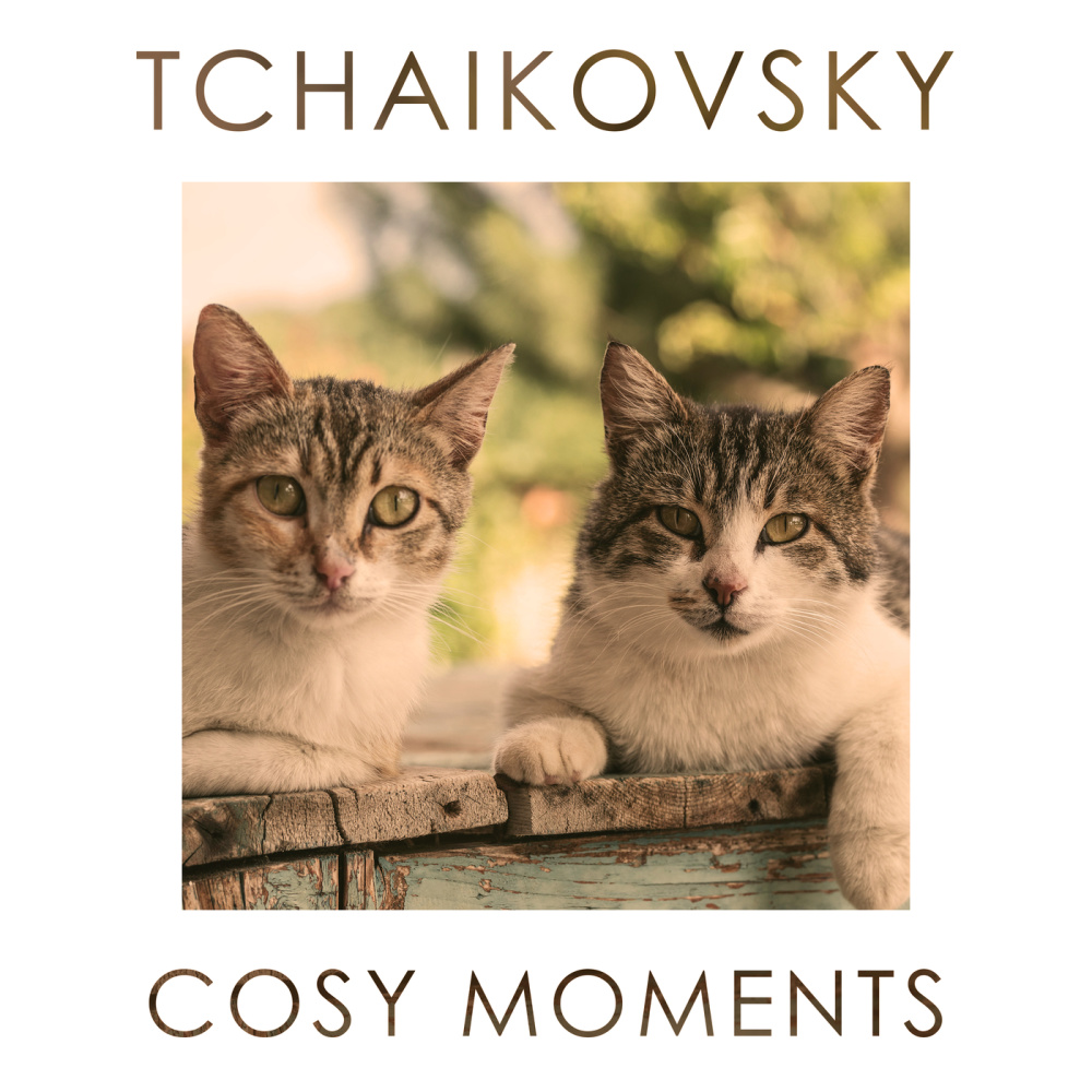 Tchaikovsky: 6 Pieces, Op. 51, TH. 143 - 6. Valse sentimentale (Arr. for Cello and Piano by Viktor Kubatsky)