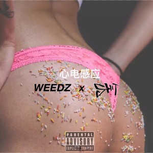 Listen to 心电感应 song with lyrics from 艾斯希得