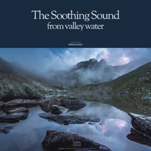 가슴이 뚫리는 계곡 물소리 The soothing sound from valley water