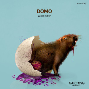 Listen to Acid Jump song with lyrics from Domo