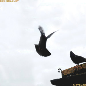 Rob Bradley的专辑Distance (Explicit)