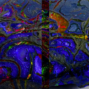 Album Opal from 