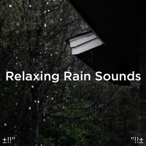 收聽Rain Sounds的Meditation Rain Sounds歌詞歌曲