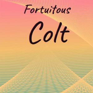 Various Artists的專輯Fortuitous Colt