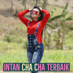 Dengarkan lagu Tempe Tahu nyanyian Intan Chacha dengan lirik