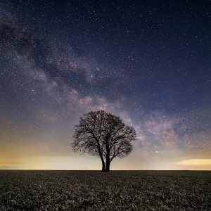 收聽張澳星的阿爾法腦波音樂 自然放鬆的音樂 (完整版)歌詞歌曲