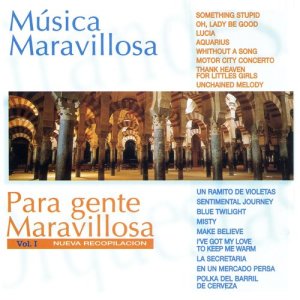 收聽Orquesta Música Maravillosa的Something Stupid歌詞歌曲