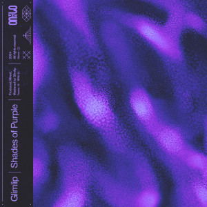 อัลบัม Shades of Purple ศิลปิน Glimlip
