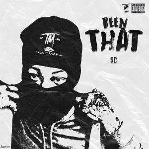 ดาวน์โหลดและฟังเพลง Been That (Explicit) พร้อมเนื้อเพลงจาก SD