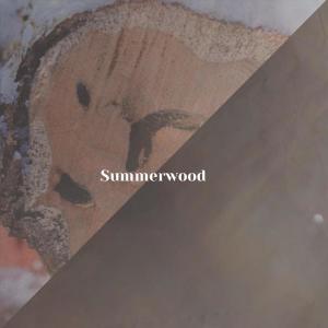 Album Summerwood from Various