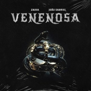 Listen to Venenosa song with lyrics from Zassa