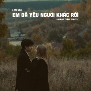Listen to Em Đã Yêu Người Khác Rồi (Lofi) song with lyrics from Cao Nam Thành