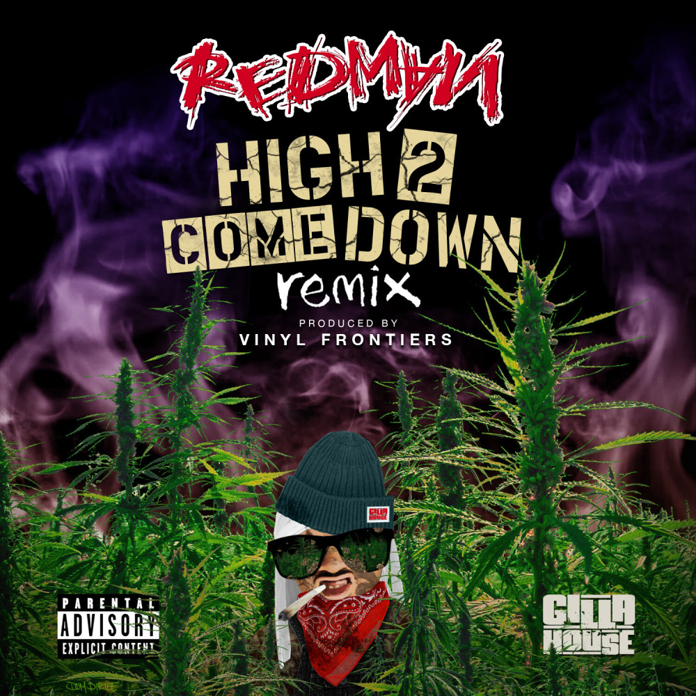 High 2 Come Down (Remix)