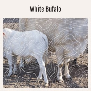 Album White Bufalo from Various Artists