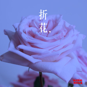 收听KingStar的折花歌词歌曲