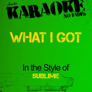 ดาวน์โหลดและฟังเพลง What I Got (In the Style of Sublime) [Karaoke Version] (Karaoke Version) พร้อมเนื้อเพลงจาก Ameritz Audio Karaoke