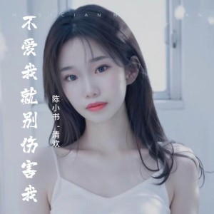 Listen to 不爱我就别伤害我 (陈小书|清欢 remix) (Remix) song with lyrics from 陈小书