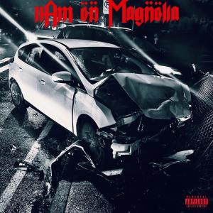 Arejee的專輯2am on Magnolia (Explicit)