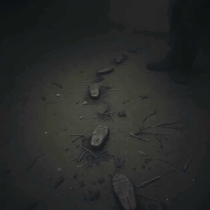 Album Footsteps from KantaSky