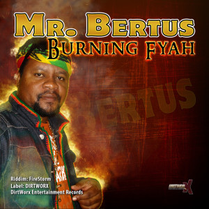 收听Mr. Bertus的Burning Fyah歌词歌曲