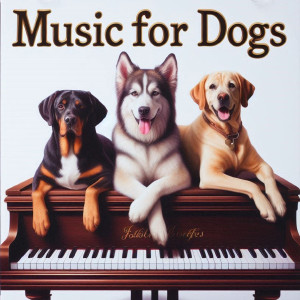 Music for Dogs dari Piano for Dogs