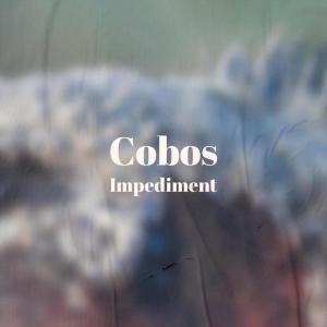 收听Kimy的Cobos Impediment歌词歌曲