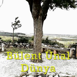 ดาวน์โหลดและฟังเพลง Dünya พร้อมเนื้อเพลงจาก Bülent Ünal