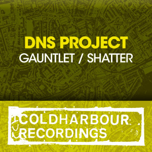 DNS Project的專輯Gauntlet / Shatter