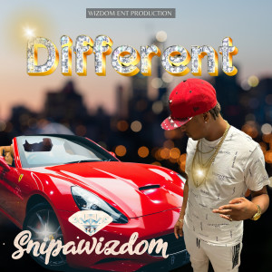 Listen to Different song with lyrics from Snipa Wizdom
