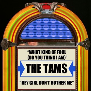 The Tams的专辑What Kind Of Fool (Do You Think I Am) / Hey Girl Don't Bother Me
