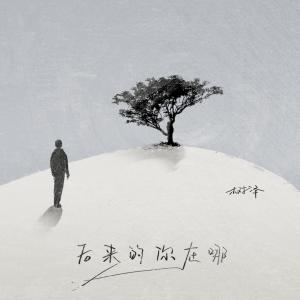Dengarkan lagu 后来的你在哪 (DJ阿卓版) nyanyian 树泽 dengan lirik