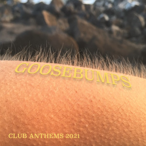 อัลบัม Goosebumps - Club Anthems 2021 (Explicit) ศิลปิน Sympton X Collective