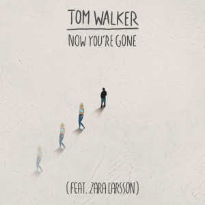 ดาวน์โหลดและฟังเพลง Now You're Gone (Radio Edit) พร้อมเนื้อเพลงจาก Tom Walker