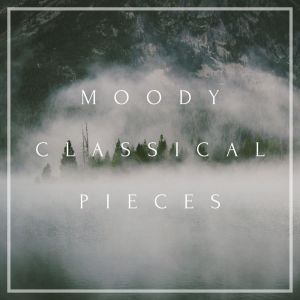 收聽Vilnius Symphony Orchestra的II歌詞歌曲