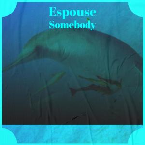 Album Espouse Somebody from Various
