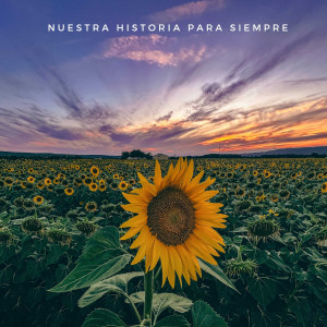 อัลบัม Nuestra historia para siempre ศิลปิน Uceda