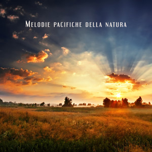 Album Melodie pacifiche della natura (Medita con la natura e calma il tuo sistema nervoso, Senti il momento presente, Connettiti con il tuo corpo) from Relax Accademia di Benessere